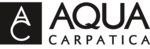 LOGO-Carpatica copy 2